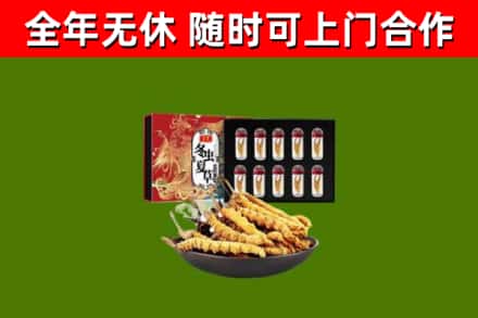 涧西回收冬虫夏草价格