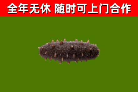 涧西烟酒回收干海参.jpg